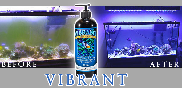 Vibrant Liquid Aquarium Cleaner for Reefs